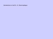 Introduction to Lab Ex. 21: Bacteriophages