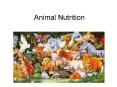 Animal Nutrition PowerPoint PPT Presentation