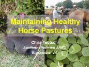 Maintaining Healthy Horse Pastures