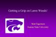 Getting a Grip on Lawn Weeds! PowerPoint PPT Presentation