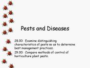 Pests and Diseases