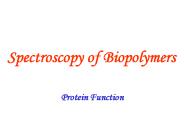 Spectroscopy of Biopolymers