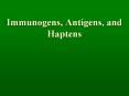 Immunogens, Antigens, and Haptens PowerPoint PPT Presentation