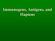 Immunogens, Antigens, and Haptens