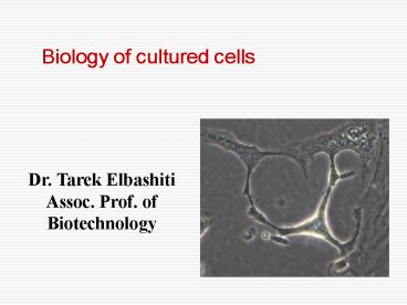 Mammalian Cell Culture