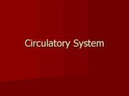 Circulatory System