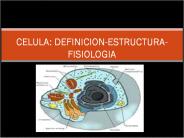 CELULA: DEFINICION-ESTRUCTURA-FISIOLOGIA