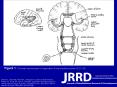 Gallun FJ, Lewis MS, Folmer RL, Diedesch AC, Kubli LR, McDermott DJ, Walden TC, Fausti SA, Lew HL, Leek MR. Implications of blast exposure for central auditory function: A review. J Rehabil Res Dev. 2012;49(7): PowerPoint PPT Presentation