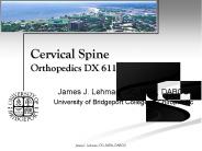 Cervical Spine Orthopedics DX 611
