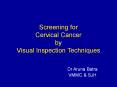 Screening for Cervical Cancer by Visual Inspection Techniques PowerPoint PPT Presentation