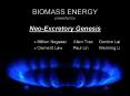 BIOMASS ENERGY presented by Neo-Excretory Genesis PowerPoint PPT Presentation