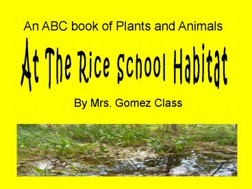 At The Rice School Habitat