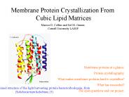 Membrane Protein Crystallization From