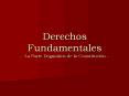 Derechos Fundamentales - La Parte Dogm PowerPoint PPT Presentation