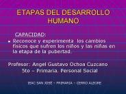 ETAPAS DEL DESARROLLO HUMANO