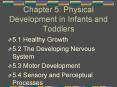 Chapter 5: Physical Development in Infants and Toddlers PowerPoint PPT Presentation