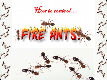 presentation player overlay