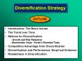 Diversification Strategy PowerPoint PPT Presentation
