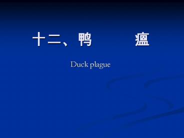 Duck plague