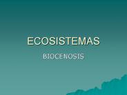 ECOSISTEMAS