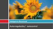 Inteligencia Emocional