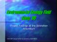 Environmental Geology Field Camp  PowerPoint PPT Presentation