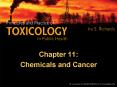 Chemicals and Cancer PowerPoint PPT Presentation