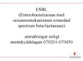 ESBL (Enterobacteriaceae med resistensmekanismen extended spectrum beta-lactamase)  anm PowerPoint PPT Presentation