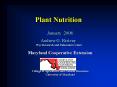 Plant Nutrition PowerPoint PPT Presentation