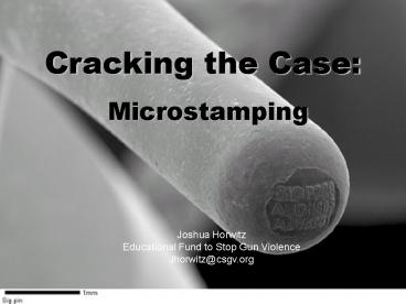 Cracking the Case: