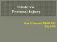 Obstetric Perineal Injury PowerPoint PPT Presentation