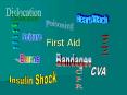 First Aid PowerPoint PPT Presentation