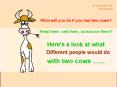 What will you do if you had two cows? PowerPoint PPT Presentation