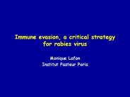 Immune evasion, a critical strategy for rabies virus