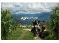 Agriculture PowerPoint PPT Presentation