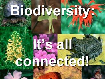 Biodiversity:%20%20It