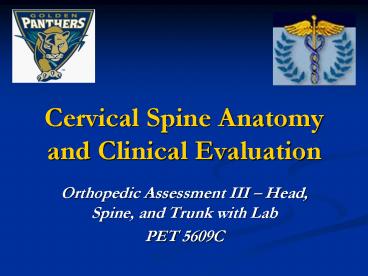 Cervical Spine Anatomy and Clinical Evaluation