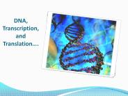 DNA, Transcription, and Translation