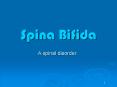 Spina Bifida PowerPoint PPT Presentation