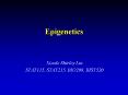 Epigenetics PowerPoint PPT Presentation