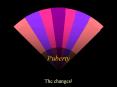 Puberty PowerPoint PPT Presentation