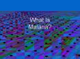 What Is Malaria? PowerPoint PPT Presentation