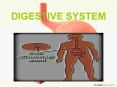 DIGESTIVE SYSTEM PowerPoint PPT Presentation