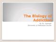 The Biology of Addiction PowerPoint PPT Presentation