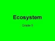 Ecosystem