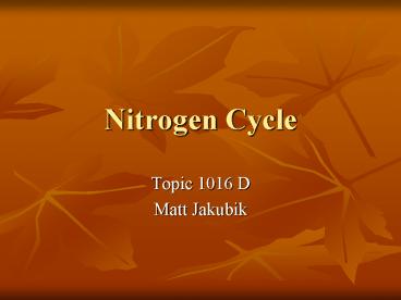 Nitrogen Cycle