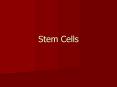Stem Cells PowerPoint PPT Presentation