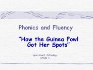 Phonics and Fluency