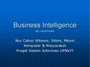 Business Intelligence an overview