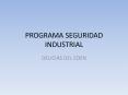 PROGRAMA SEGURIDAD INDUSTRIAL PowerPoint PPT Presentation